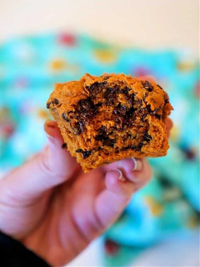 A hand holds a pumpkin chocolate chip muffin with a bite taken out, its rich flavors reminiscent of 2 ingredient pumpkin muffins, set against a blurry, colorful background.