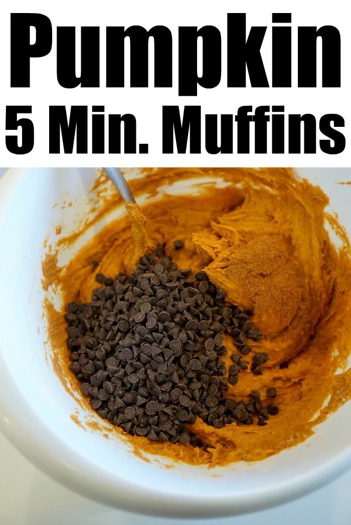 pumpkin muffins using cake mix