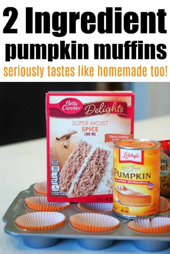 2-Ingredient-Pumpkin-Muffins