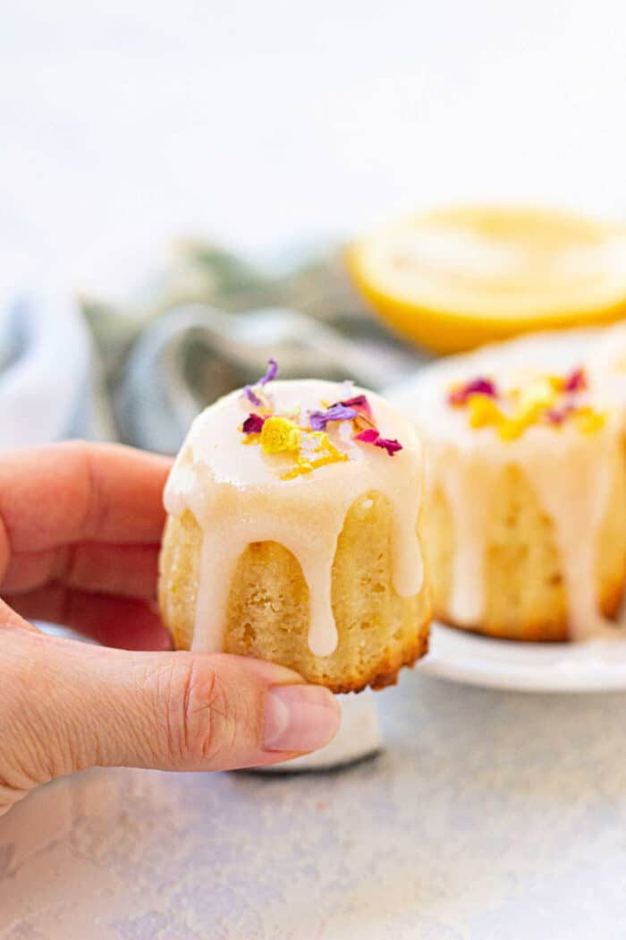 Air Fryer Mini Muffins