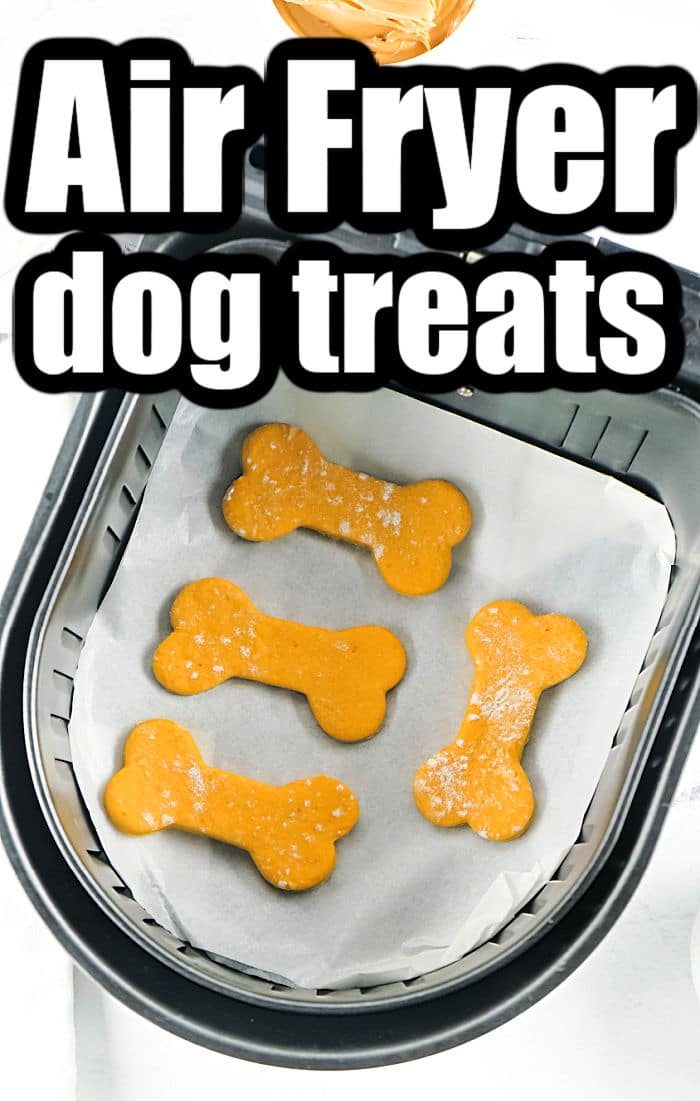 Air Fryer Dog Treats