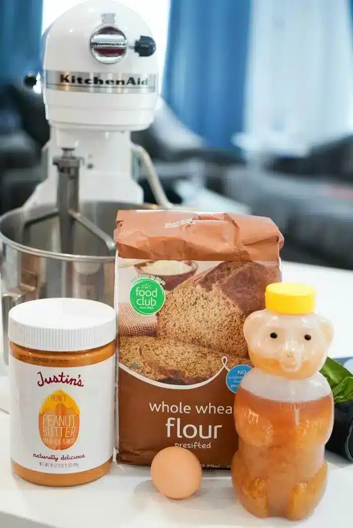 homemade Air Fryer Dog Treats