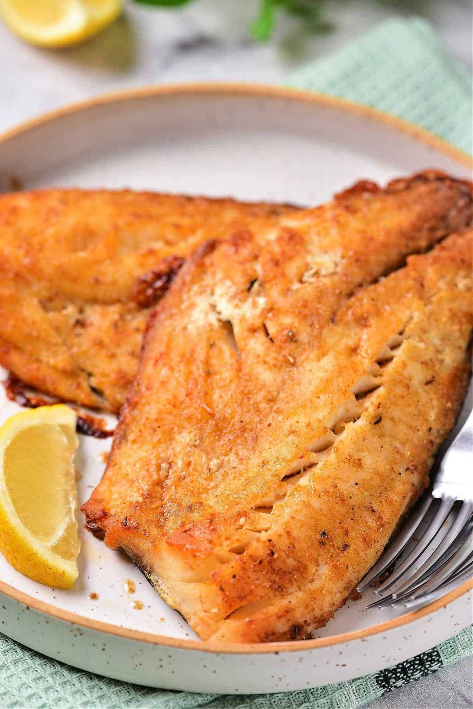 Air Fryer Healthy Recipes
