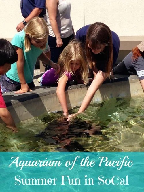 Aquarium of the Pacific Long Beach