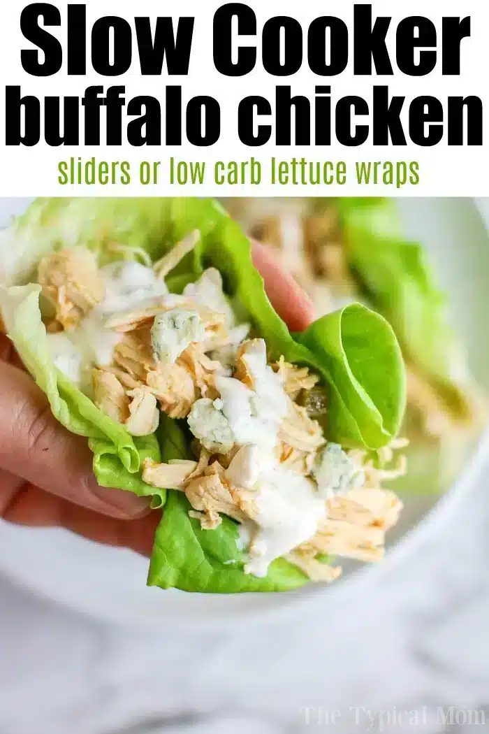 Recipes for Chicken in the Crockpot