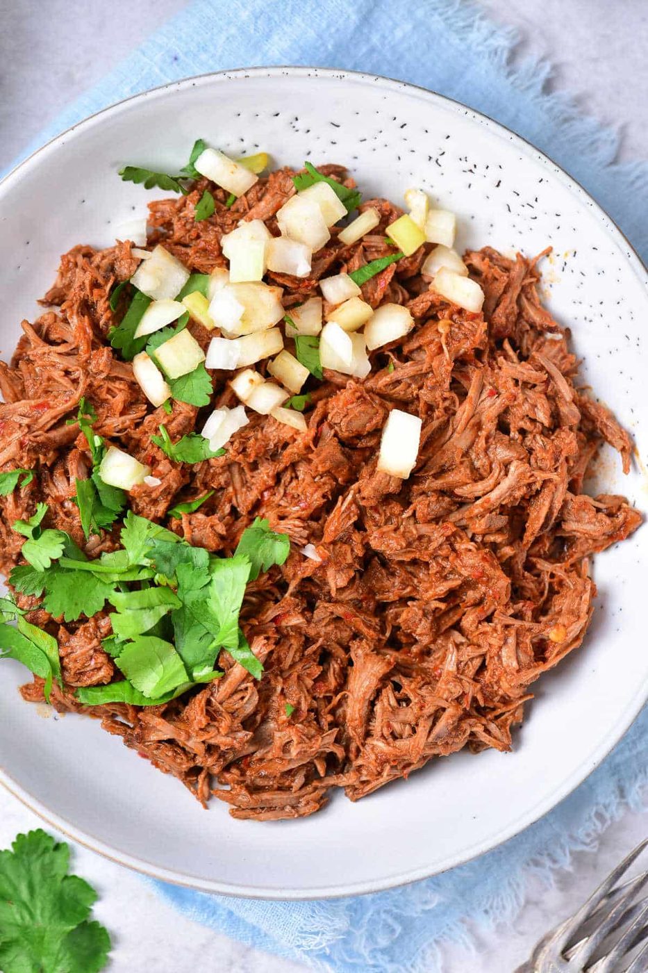 Birria Recipes