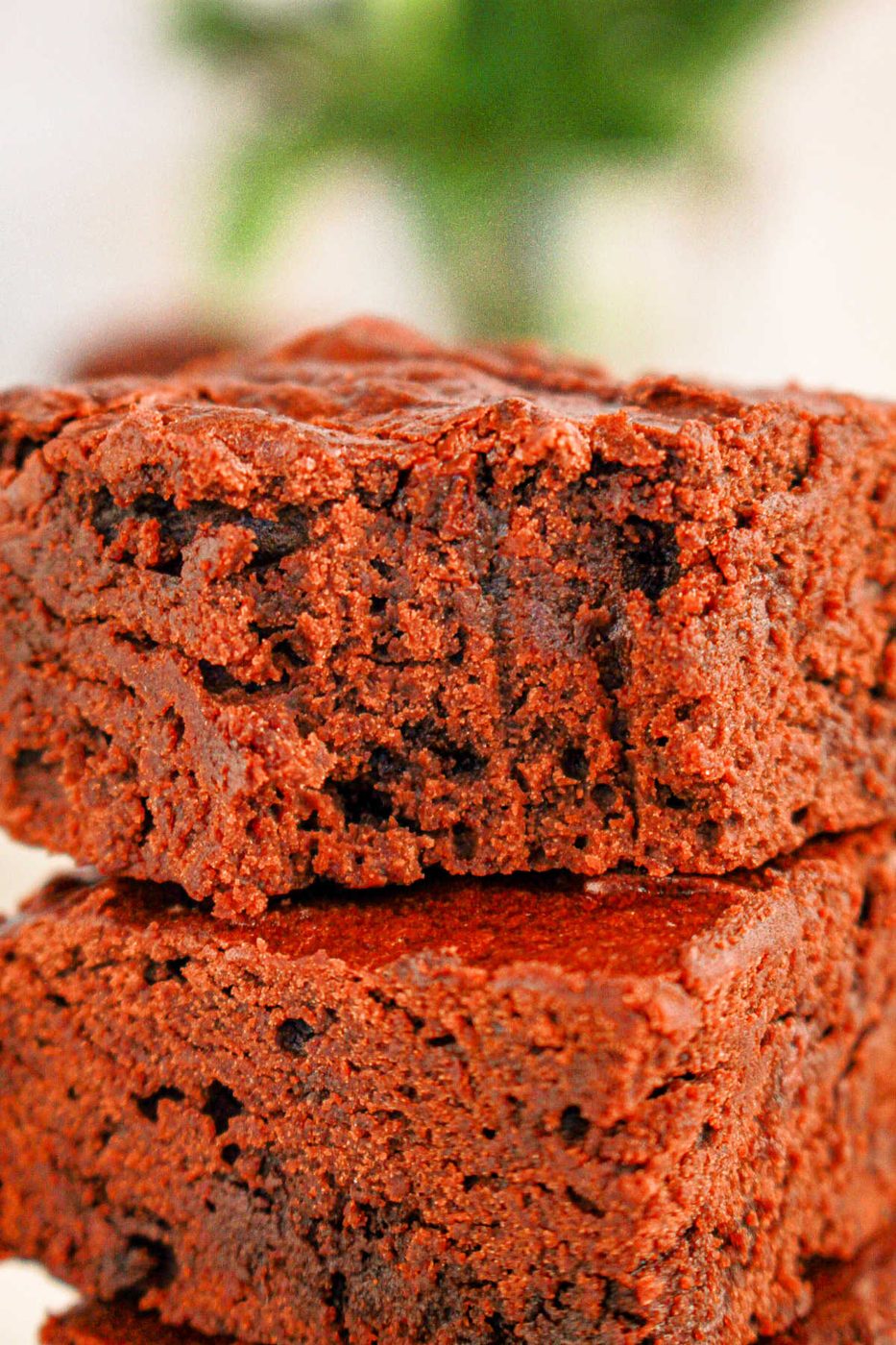 Black Bean Brownies, plus Mix