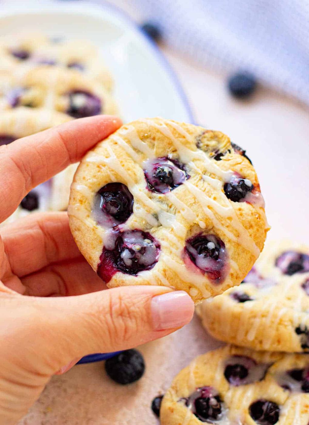 Blueberry Biscuit