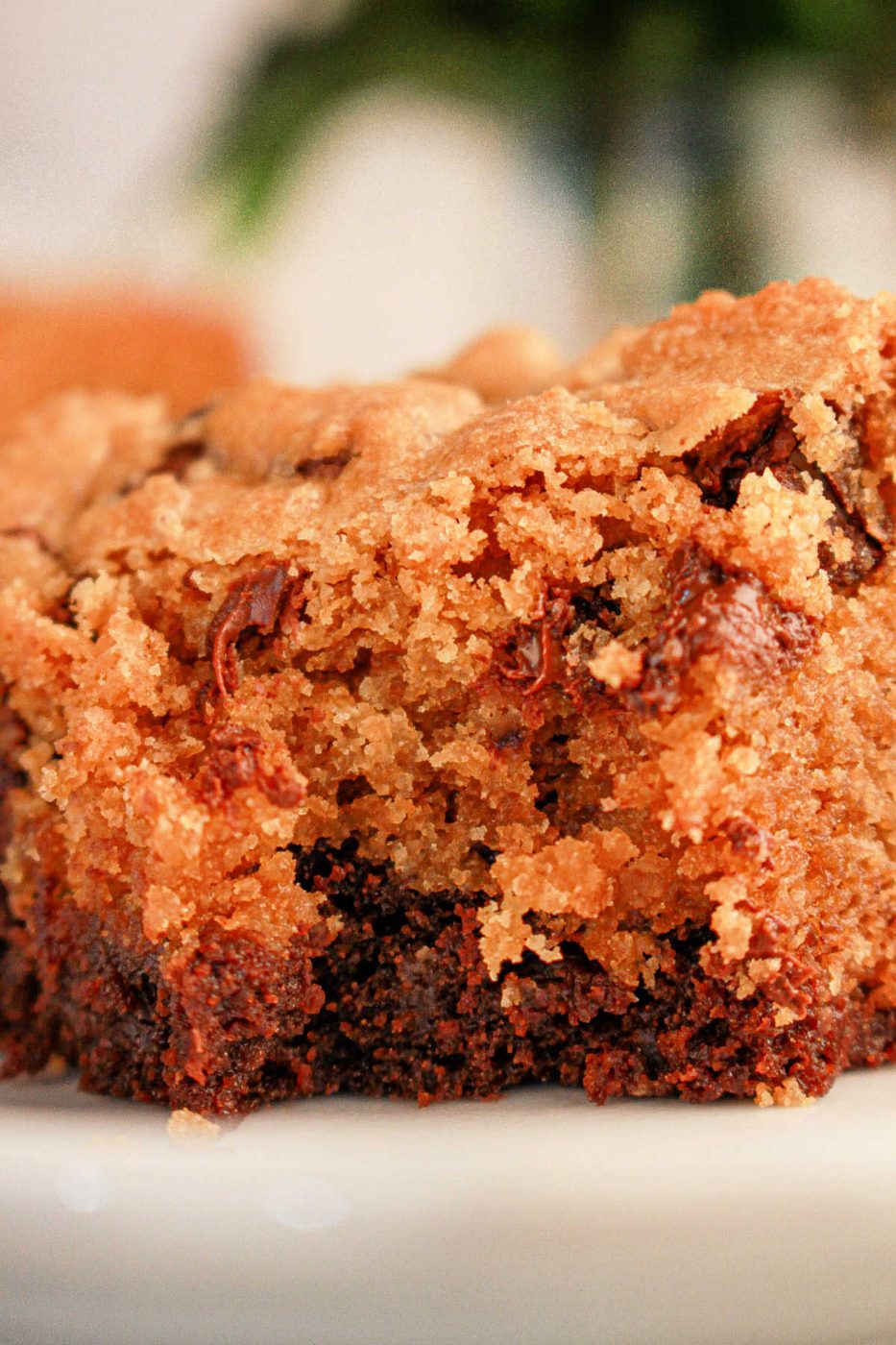 Brookies (with Brownie Mix and Cookie Dough)
