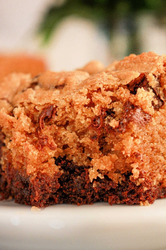 Close-up of a moist slice of chocolate chip cookie cake on a white plate, resembling the solid blend achieved when learning how to make brookies with brownie mix and cookie dough. The golden-brown crust and melted chocolate chips create a deliciously textured and rich appearance.