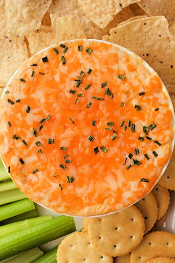 ninja foodi buffalo chicken dip