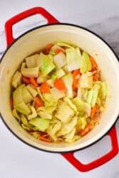 A red pot brimming with the beginnings of a hearty cabbage stew recipe sits invitingly on a marble surface, filled with vibrant chopped cabbage, carrots, and onions.