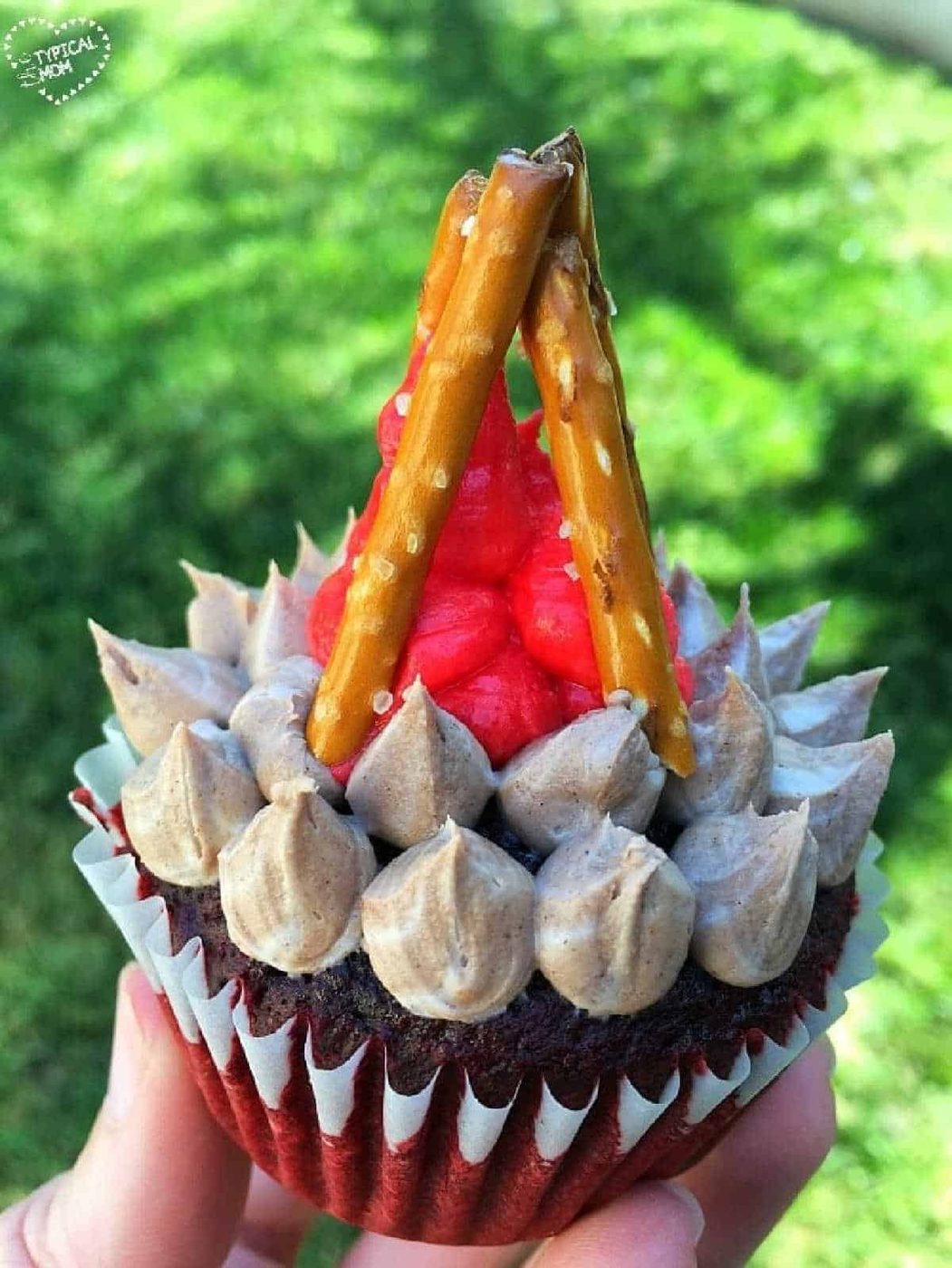 Cute Campfire Camping Cupcakes