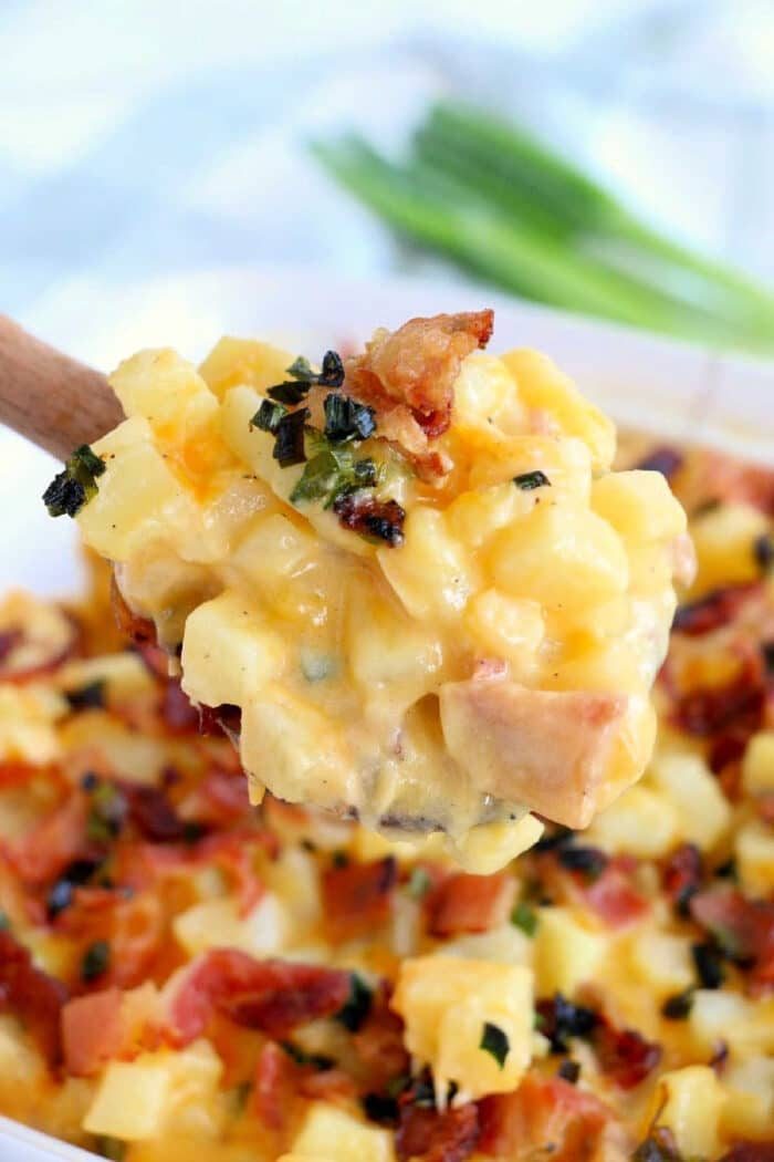 A spoonful of creamy cheesy potato casserole, topped with crispy bacon and herbs.