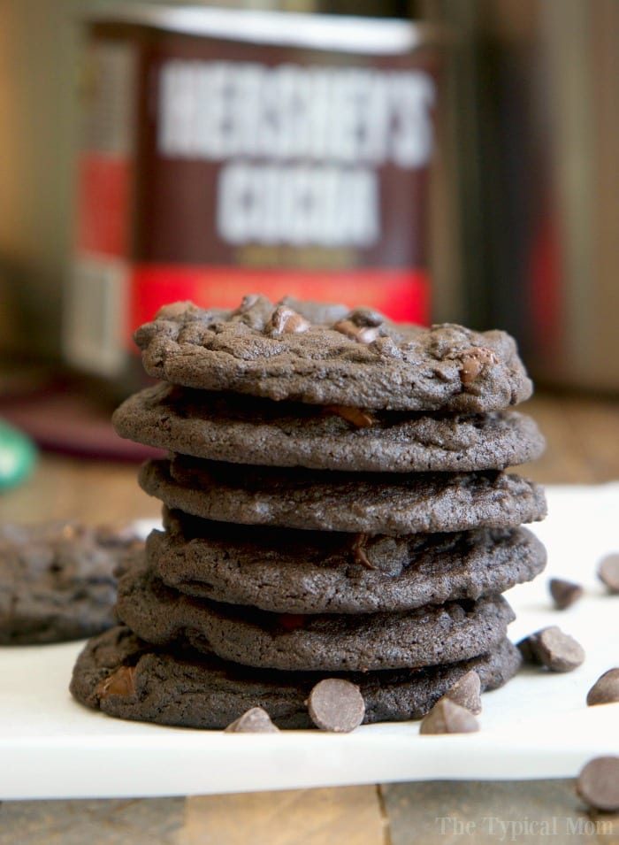 Chewy Double Chocolate Chip Cookies