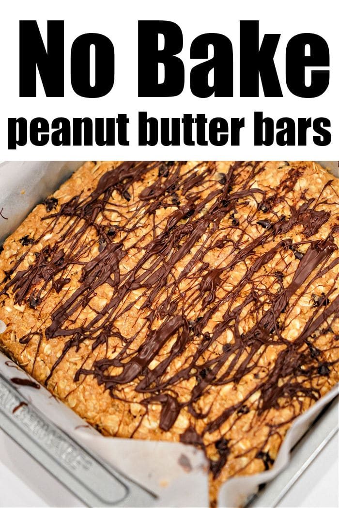 Chocolate Peanut Butter Bars
