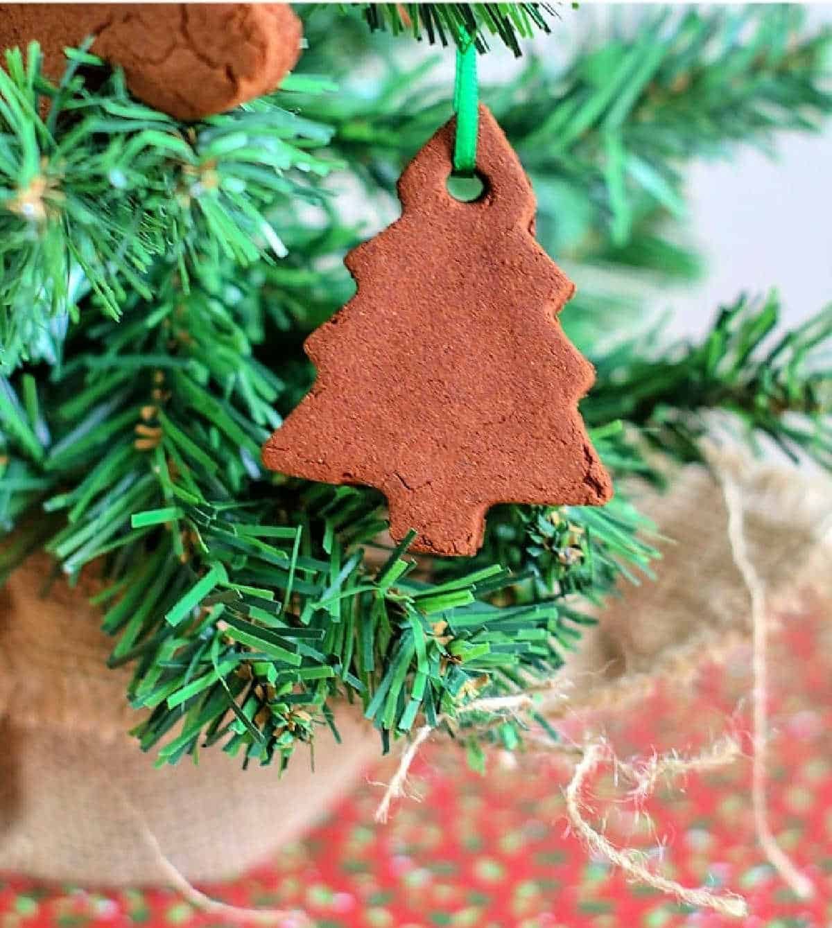 2 Ingredient Cinnamon Ornaments