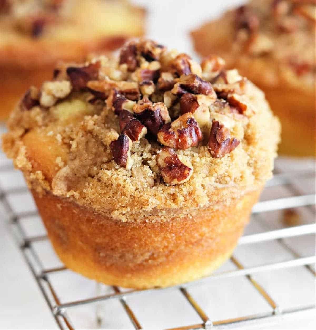 Bakery Style Coffee Cake Muffin