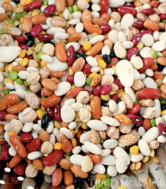 instant pot dried beans
