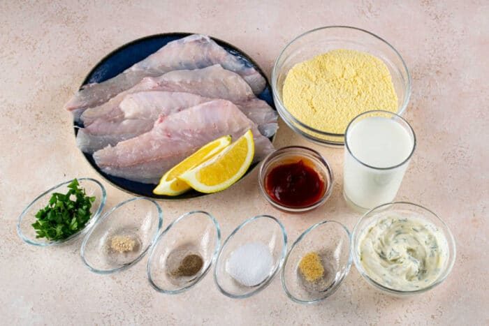 Fish Fry Cornmeal