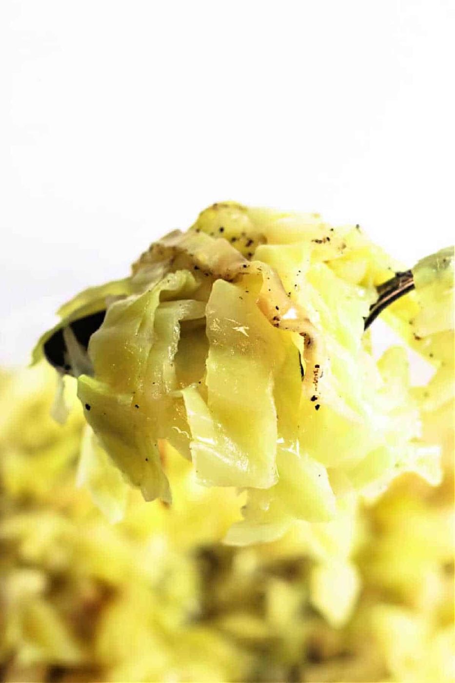 Crockpot Cabbage Recipes