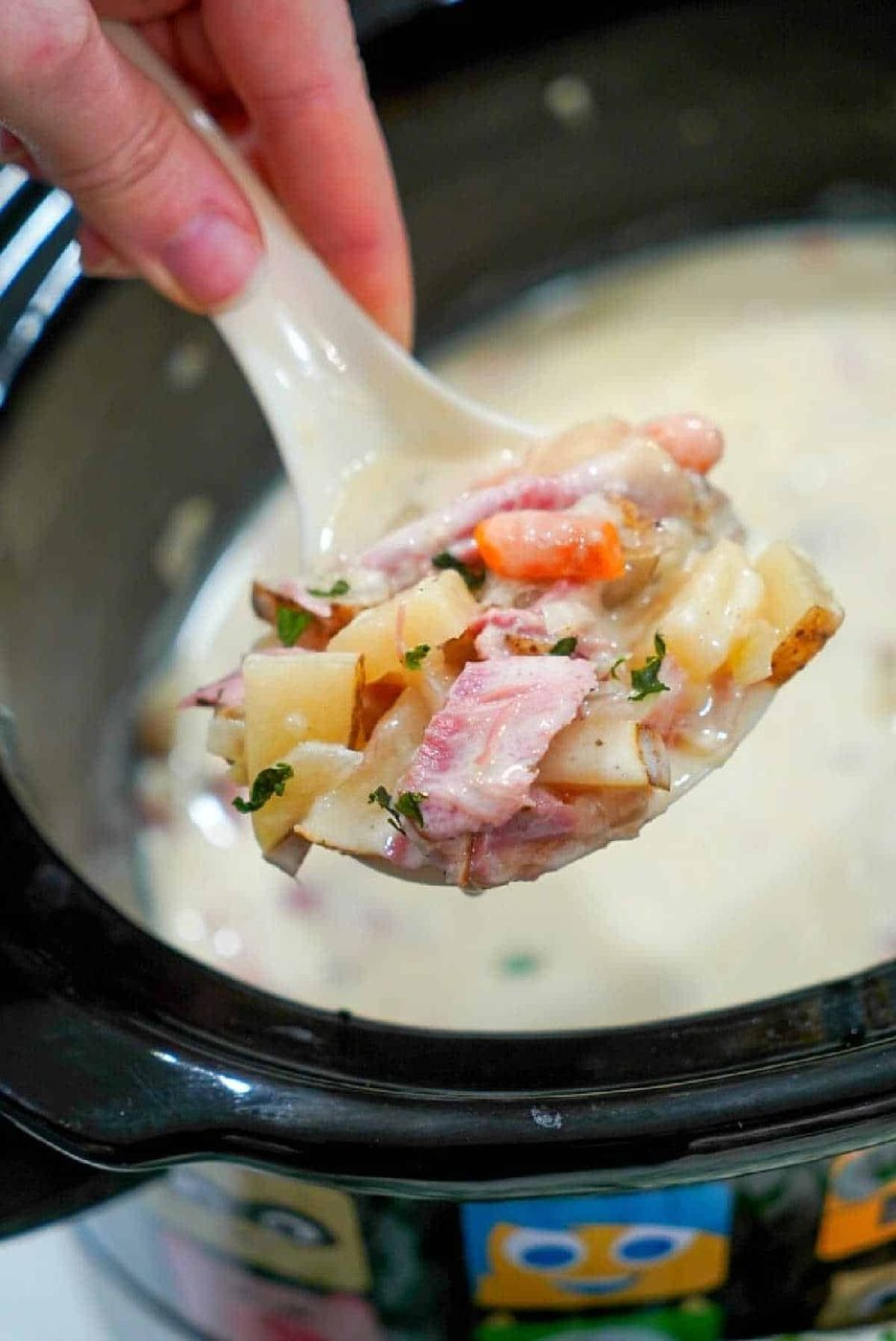 Crockpot Ham Hock and Potato Soup