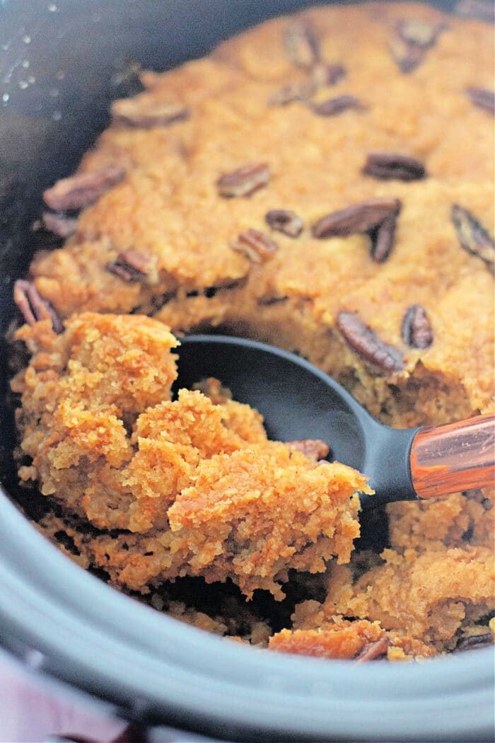 Close-up of a warm crockpot pumpkin dump cake, as a serving spoon elegantly scoops it out.