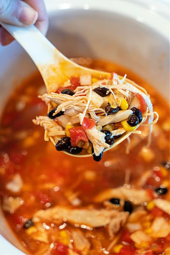 Slow Cooker Easy Enchilada Soup