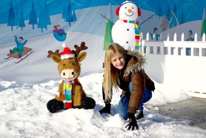 Discovery Cube OC Winter Wonderfest