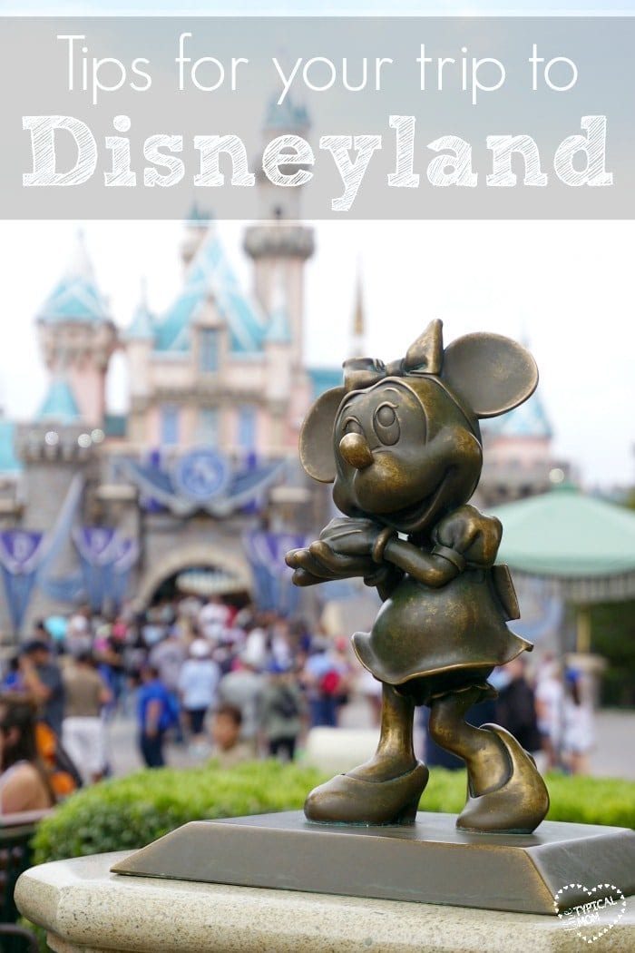 disneyland tips