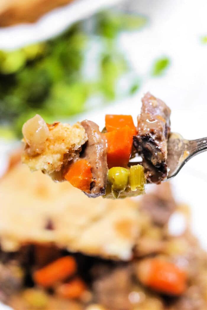 Double Crust Pot Pie