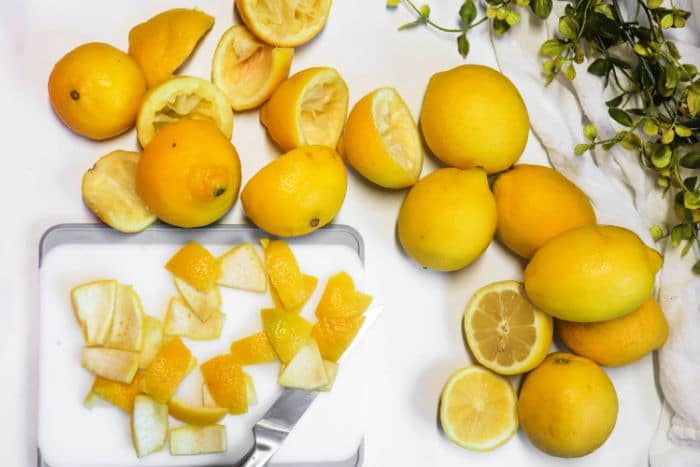 Dehydrated Lemon Peel