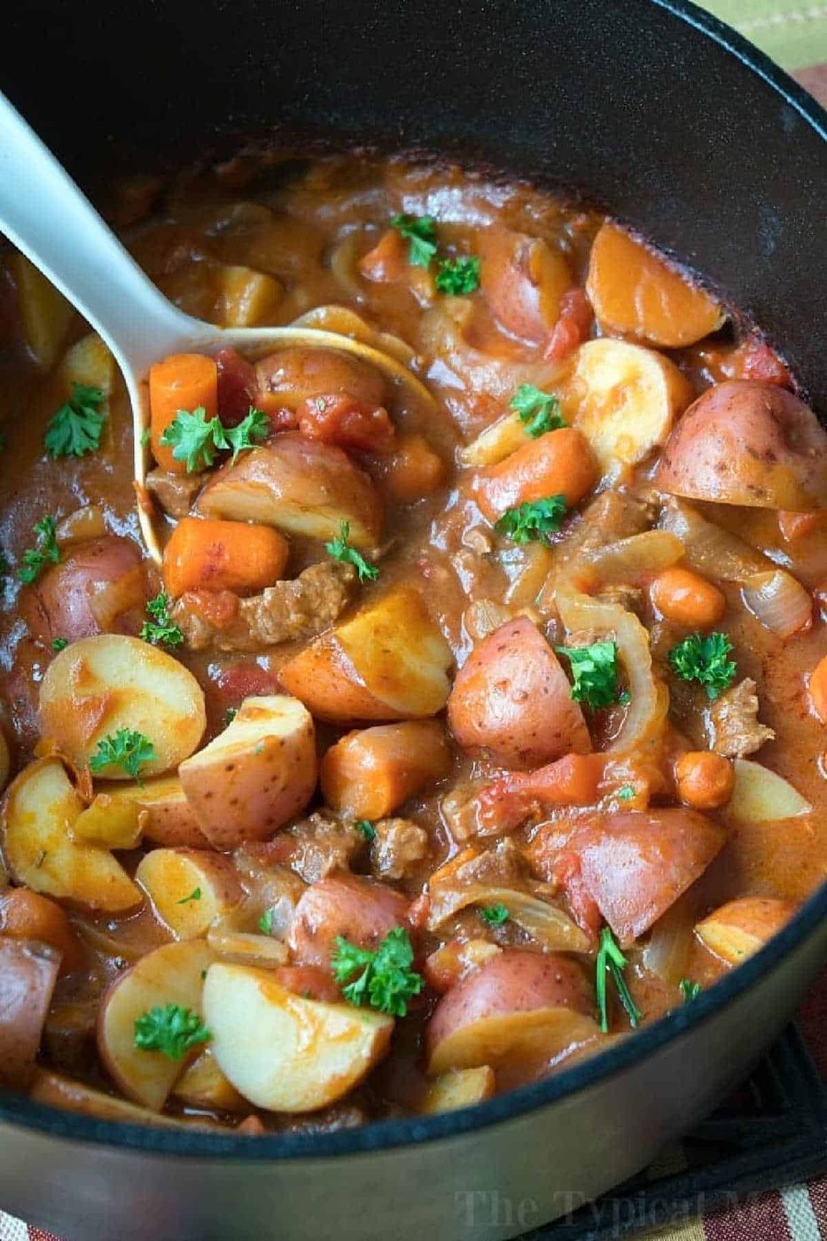 Beef Dutch Oven Stew