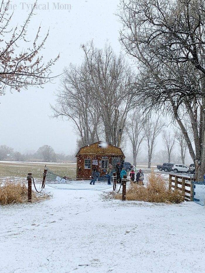 eagle island sledding