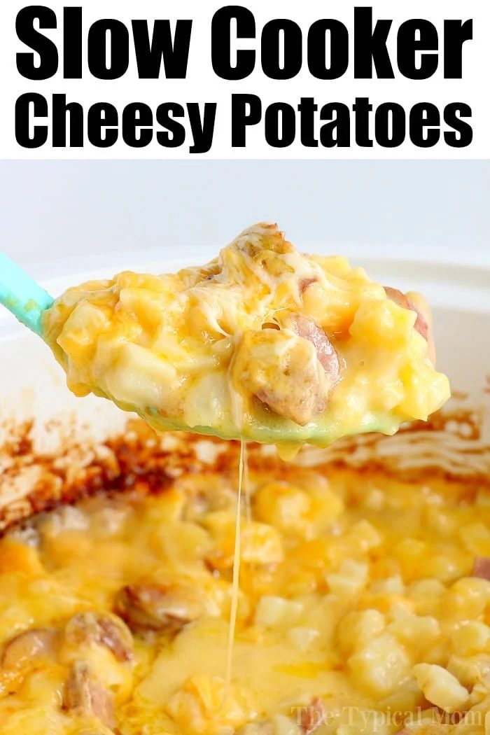 A spoonful of slow cooker cheesy potatoes is being lifted, revealing creamy goodness with chunks of potato and gooey, melted cheese.