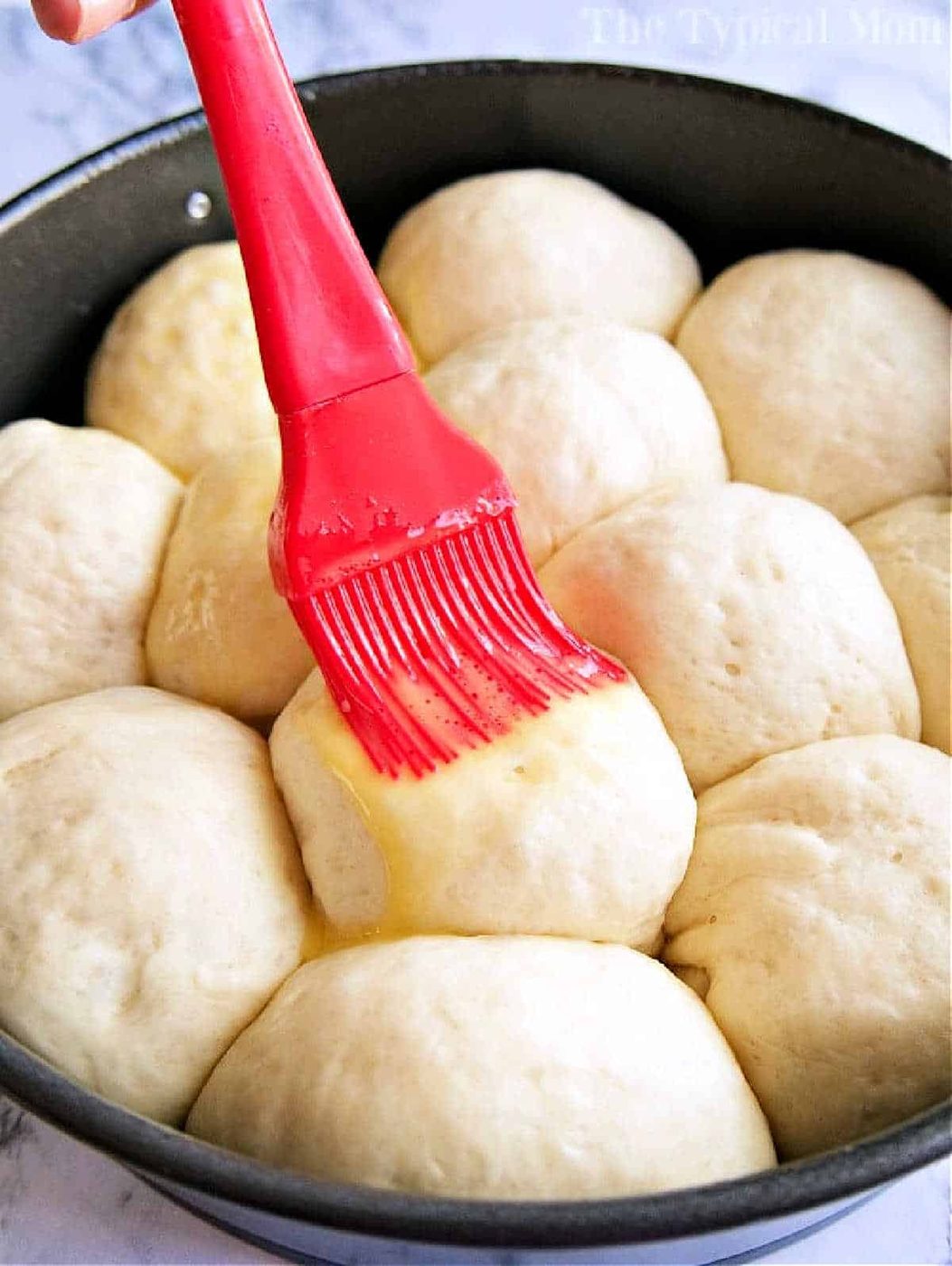 Dinner Roll