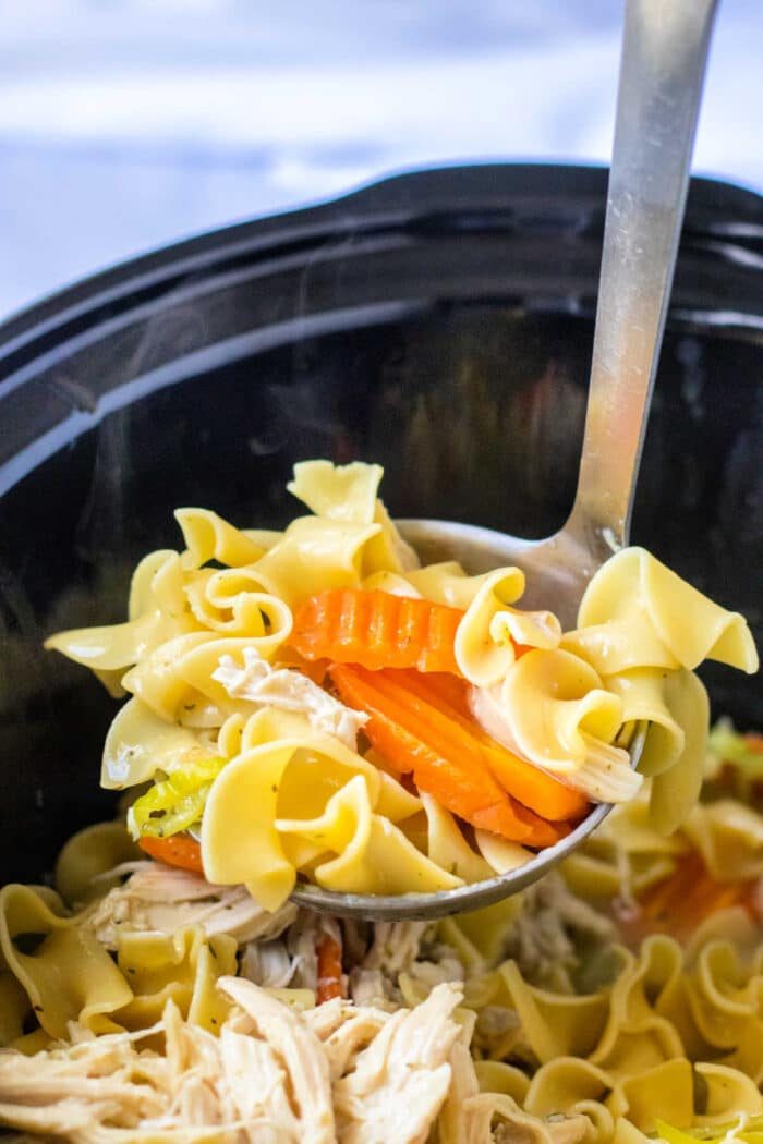Boiled Chicken and Egg Noodles