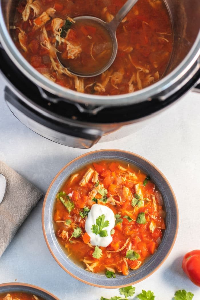 ninja foodi fajita soup