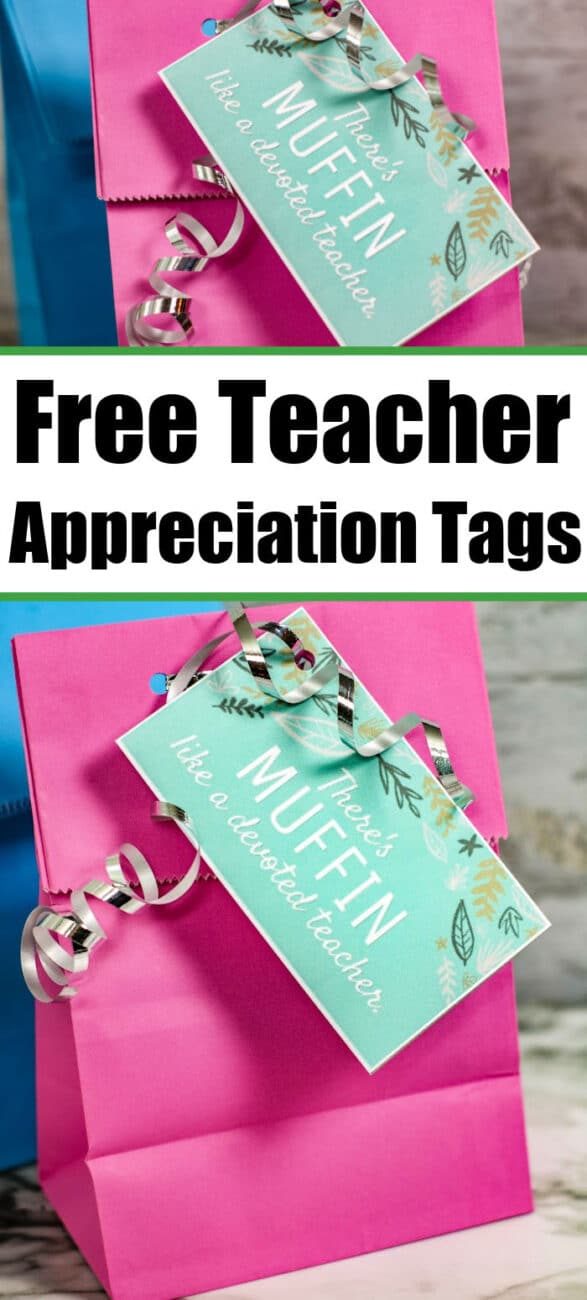 free teacher appreciation tags