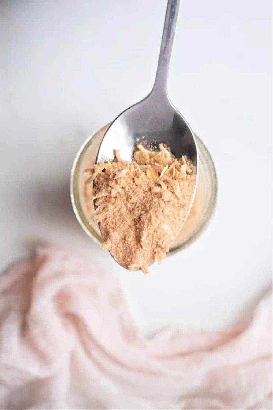 Copycat Lipton French Onion Soup Mix