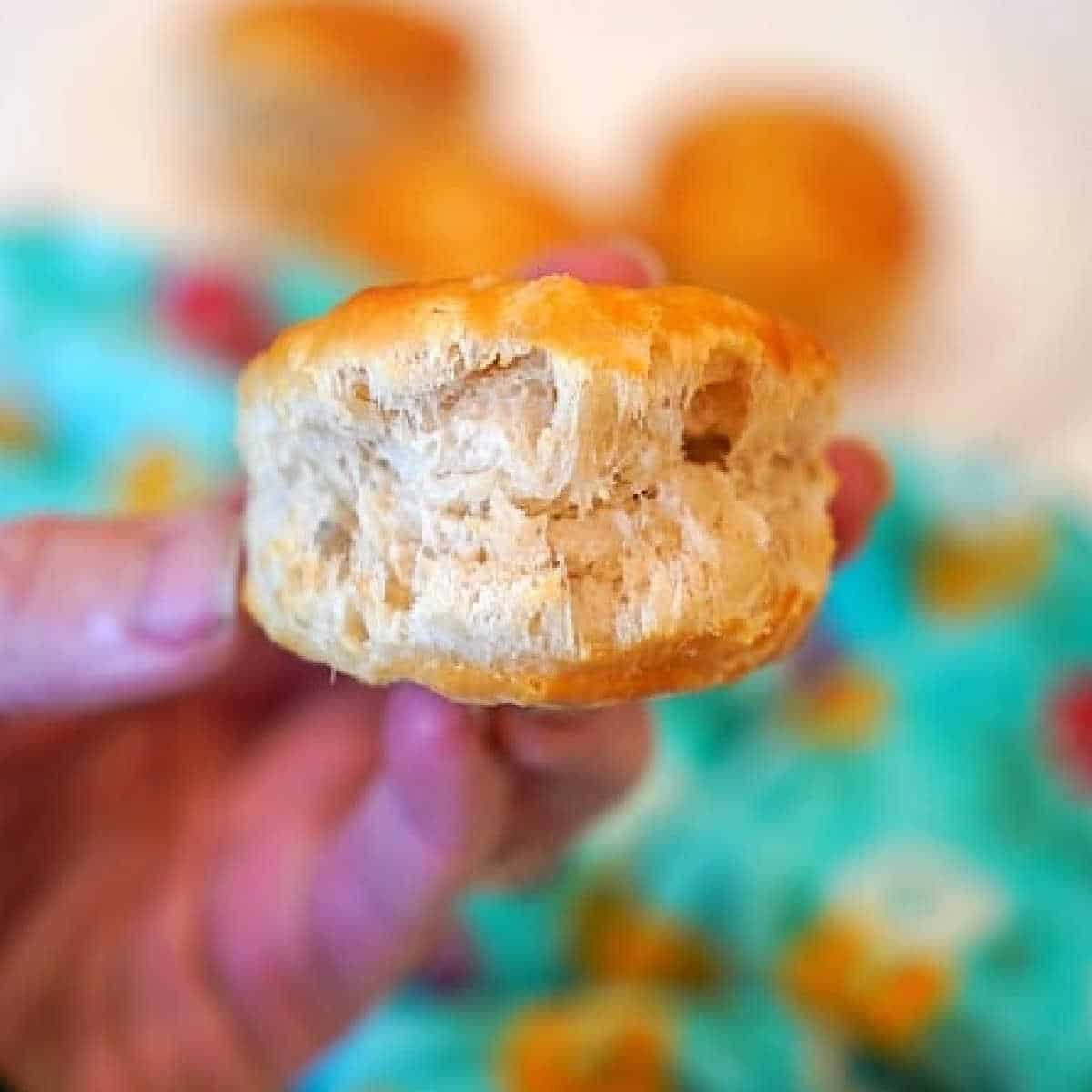 Grands Frozen Biscuits in Air Fryer