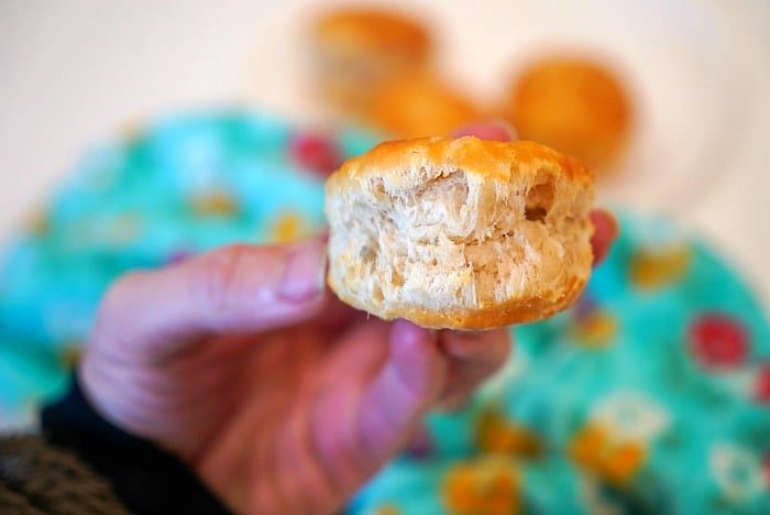 frozen biscuits