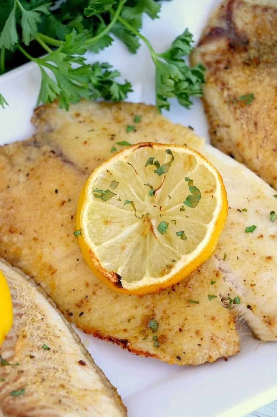 Frozen Fish in Air Fryer