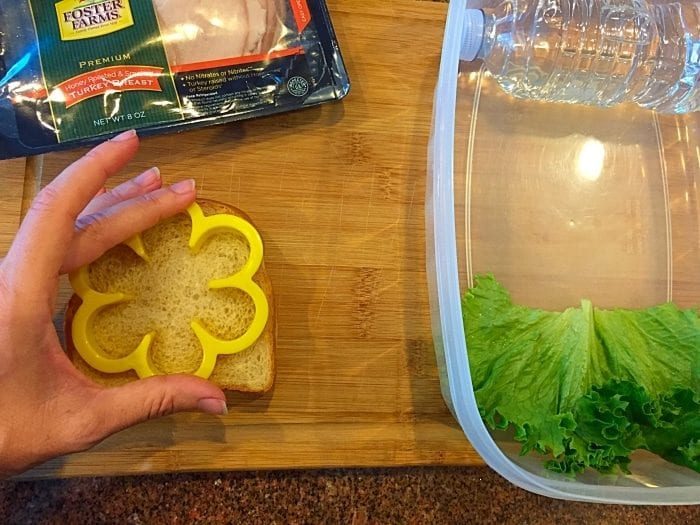fun sandwich ideas
