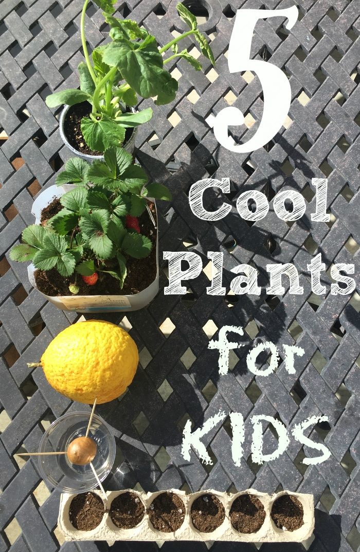 Gardening Activities for Kids