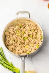 Ground chicken and diced green bell peppers sizzle in a skillet, creating a good aroma reminiscent of ground chicken sloppy joes. Green onions are chopped and ready on the side.