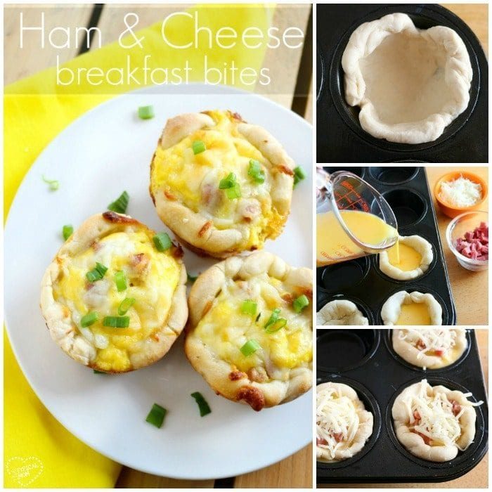 ham and cheese egg bites