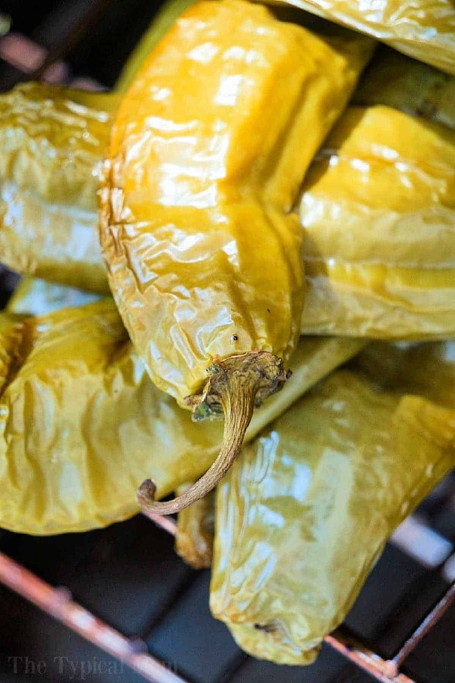 Hatch Chile Recipes