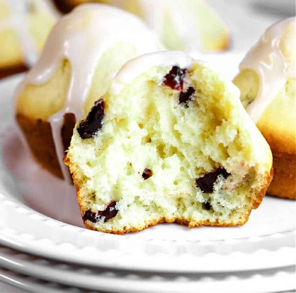 Dried Cranberry Muffins, plus Yogurt