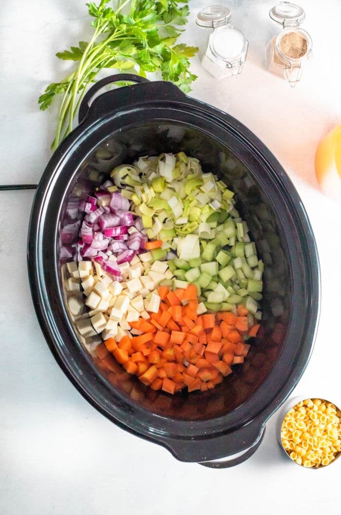 VEGETABLE SOUP SLOW COOKER